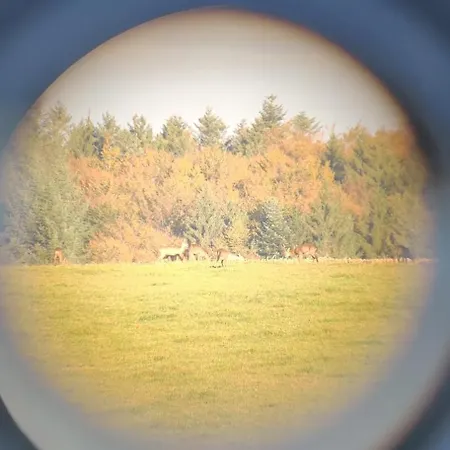 Appartemt Independant- Paysage Verdoyant- Piscine Apartment *