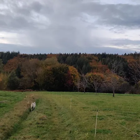 Appartemt Independant- Paysage Verdoyant- Piscine Plombieres-les-Bains