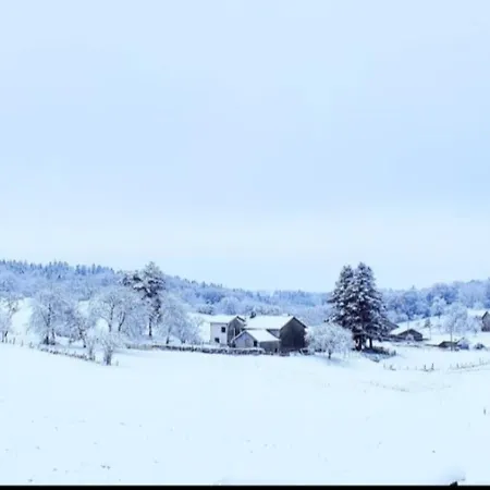 Evasion Nature - Paysage Verdoyant- Piscine Apartman *
