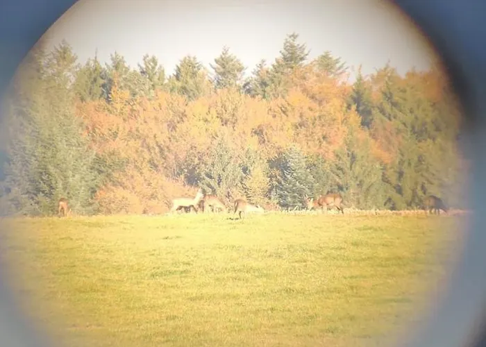 Appartemt Independant- Paysage Verdoyant- Piscine Apartmán *