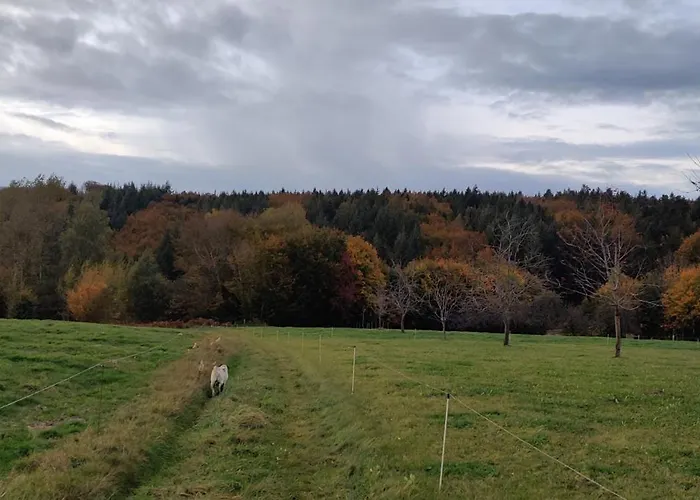 Appartemt Independant- Paysage Verdoyant- Piscine Plombières-les-Bains